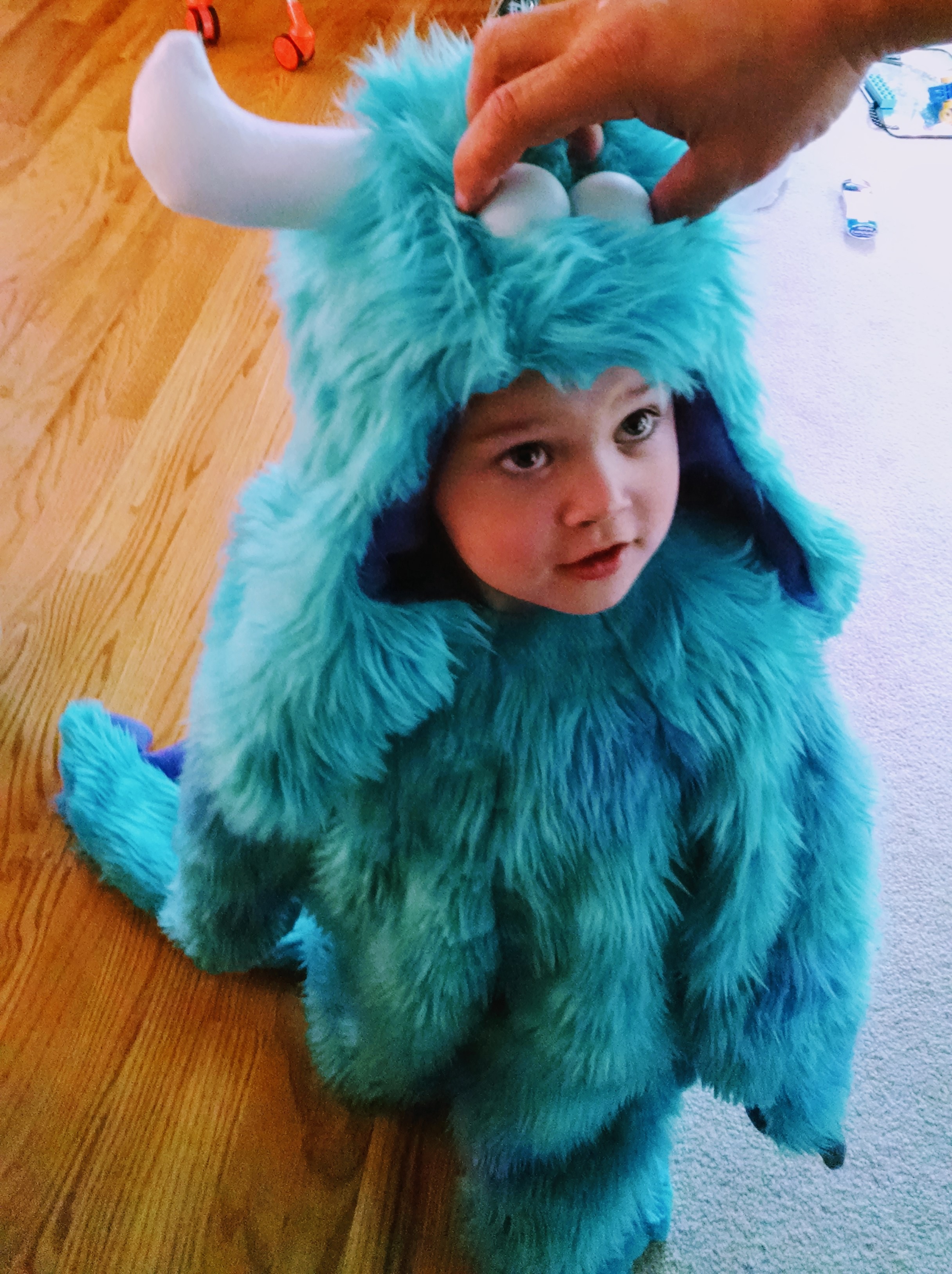 sulley monsters inc costume