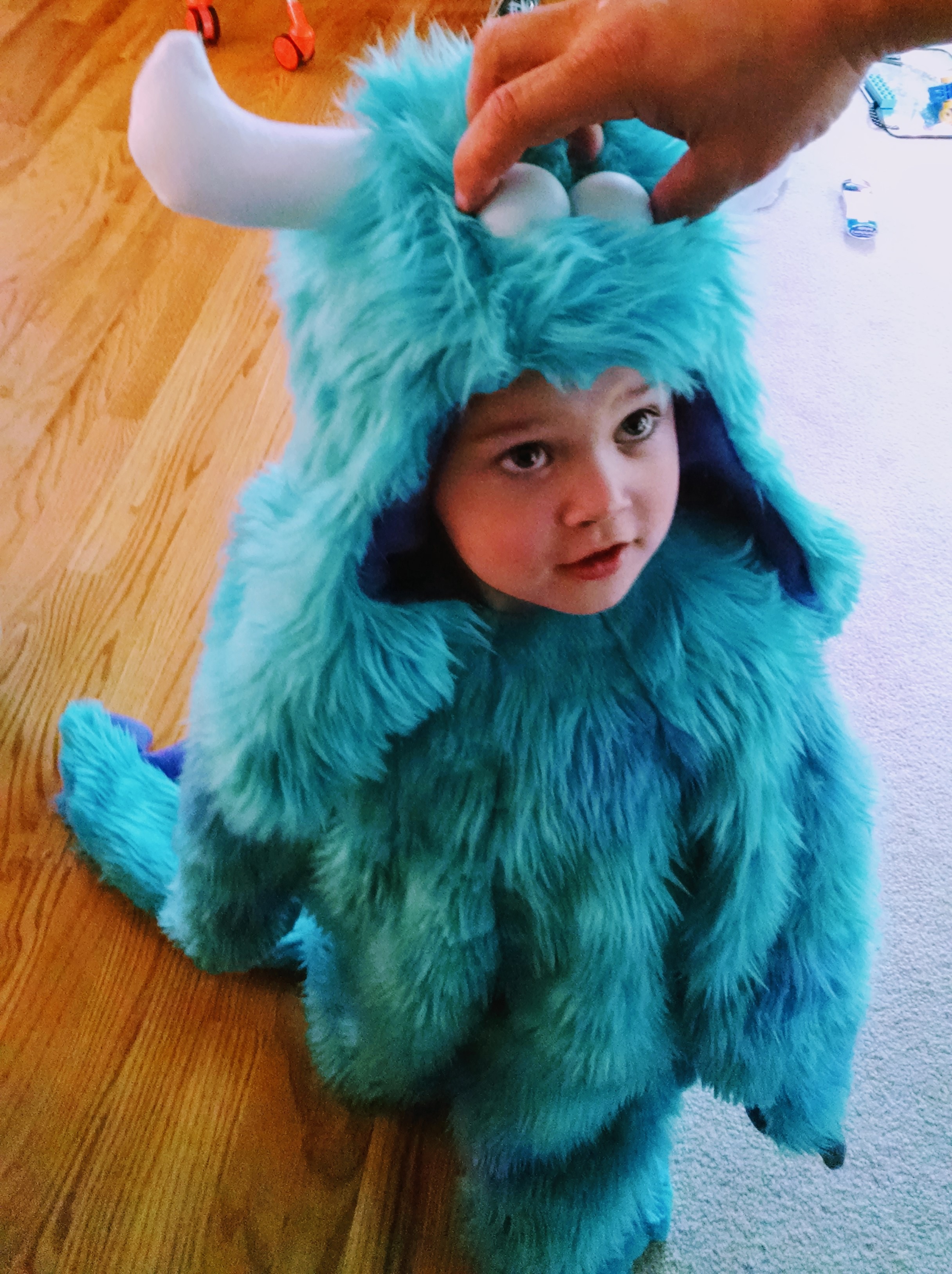 Sully Halloween Costume Monsters Inc At Reginald Hopkins Blog