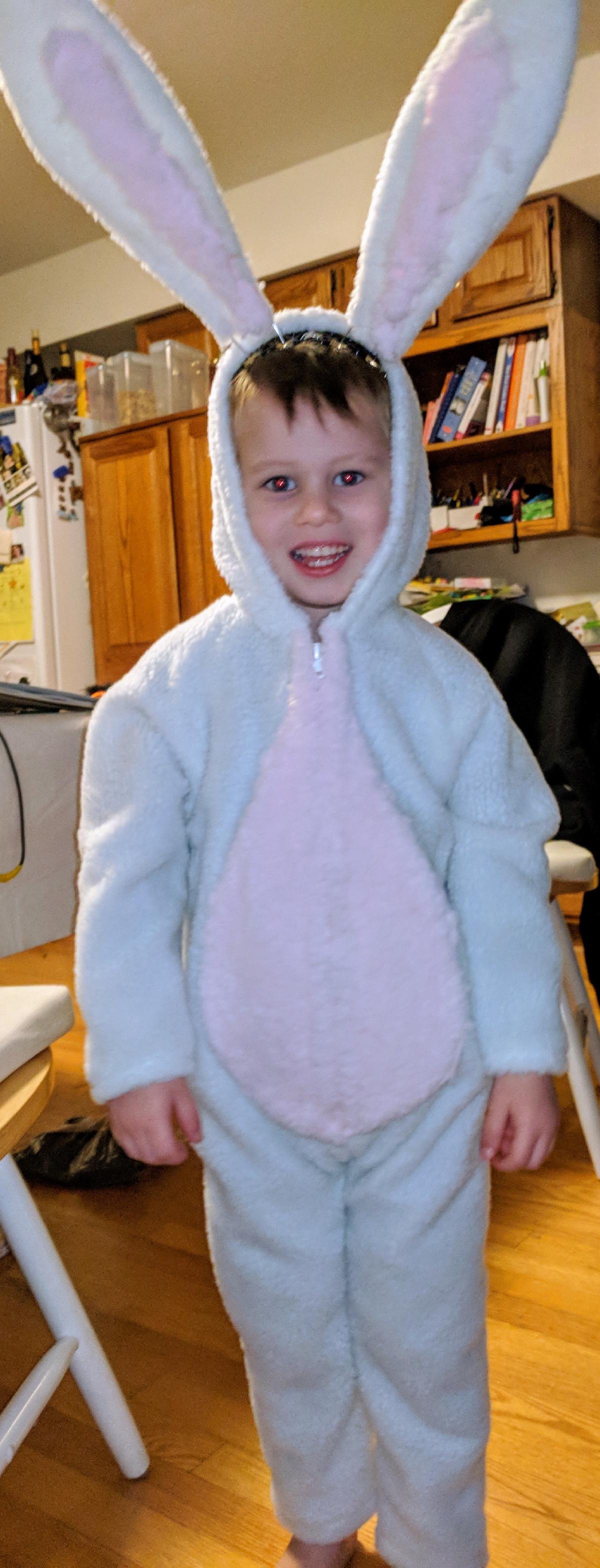 Halloween 2017: Sewing Ghost and Bunny Costumes